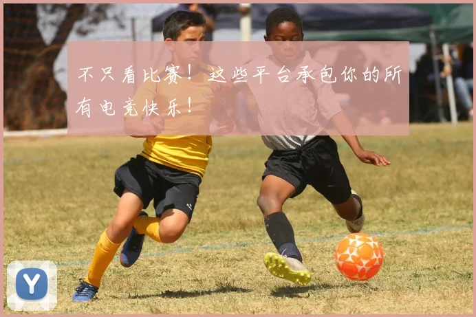 不只看比赛！这些平台承包你的所有电竞快乐！