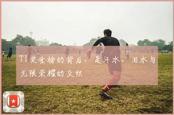 TI奖金榜的背后，是汗水、泪水与无限荣耀的交织