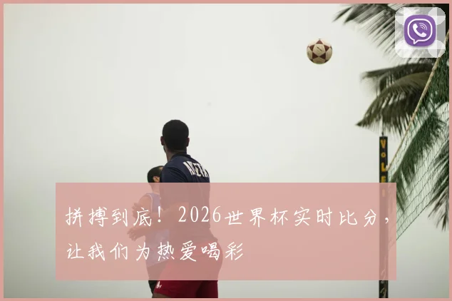 拼搏到底！2026世界杯实时比分，让我们为热爱喝彩